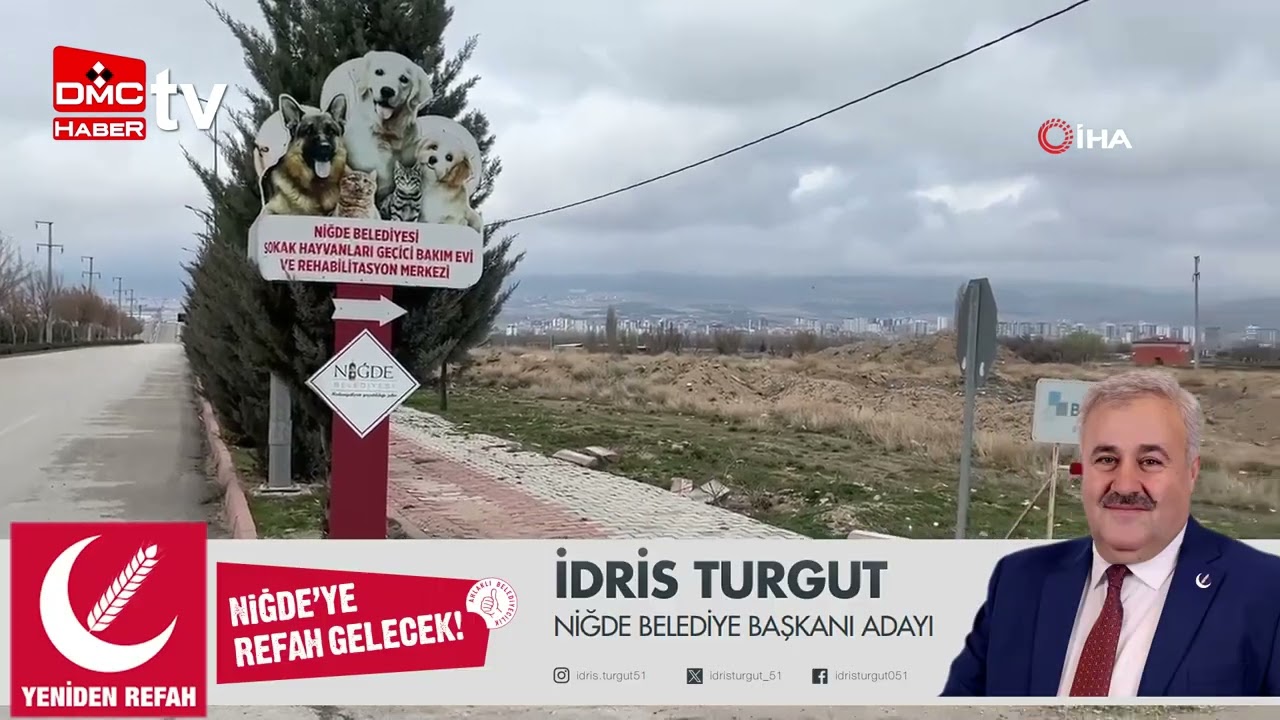 Niğde’de dövüştürüldüğü için koruma altına alınan köpekler çalındı