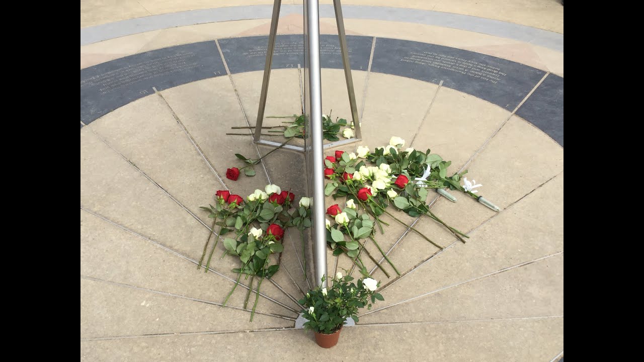 Rose laying, 22nd August 2020