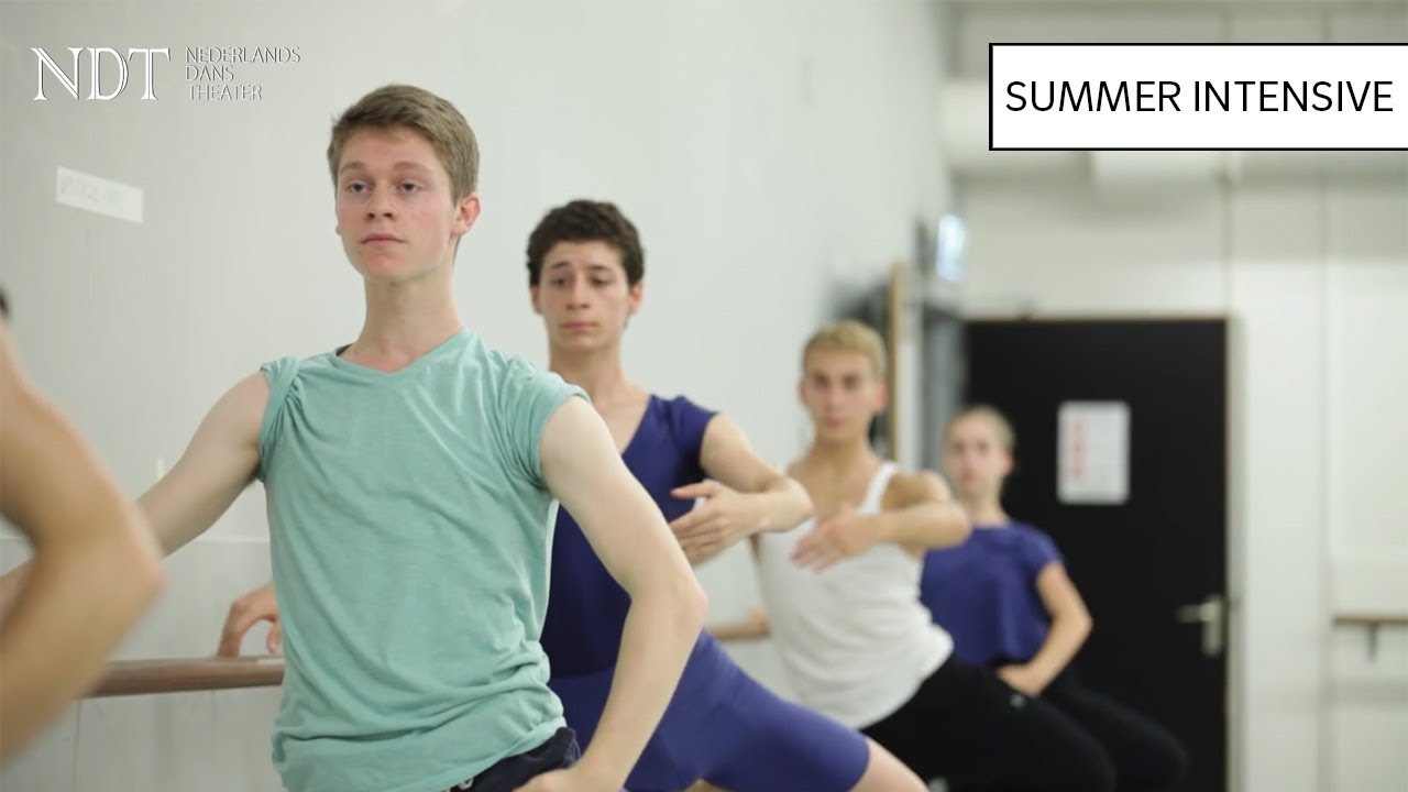 NDT Summer Intensive 2014