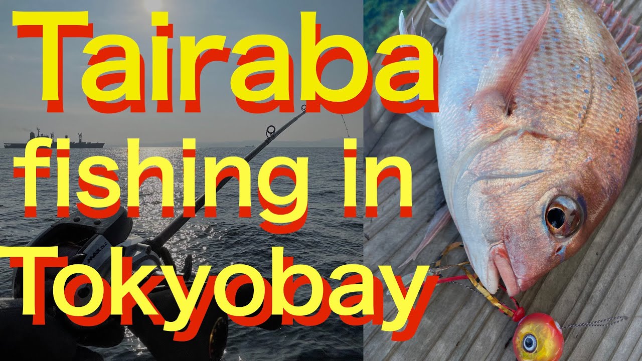 Tairaba fishing in Tokyobay #jiging #tokyobay  #fishing #fishingvideo #タイラバ  #東京湾  #レンタルボート