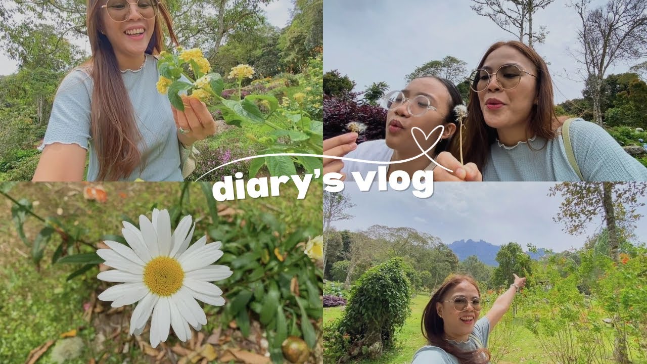 Diary’s Vlog | santai, tenang dan menikmati suasana alam di depan gunung kinabalu