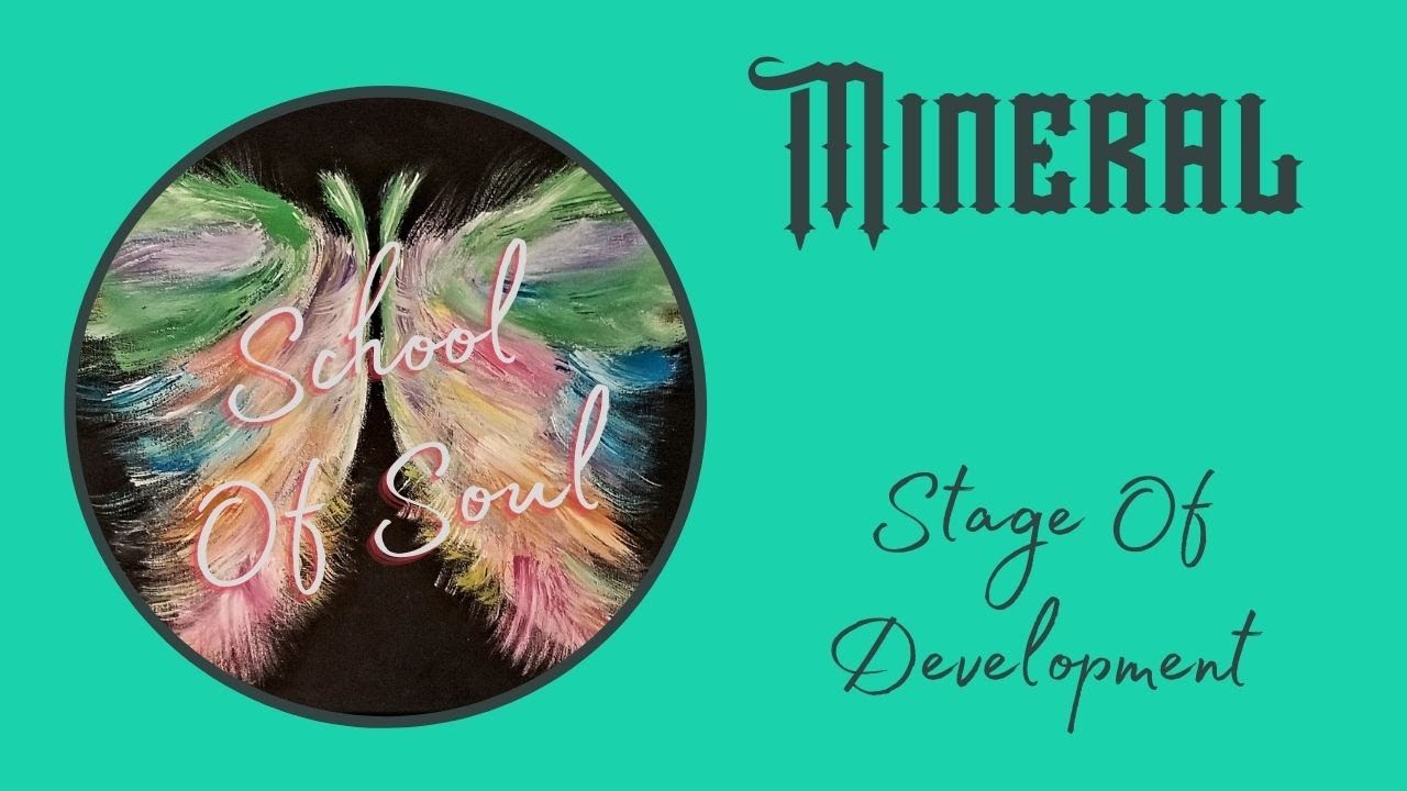SOS Video 6: The Mineral Stage of Soul Development
