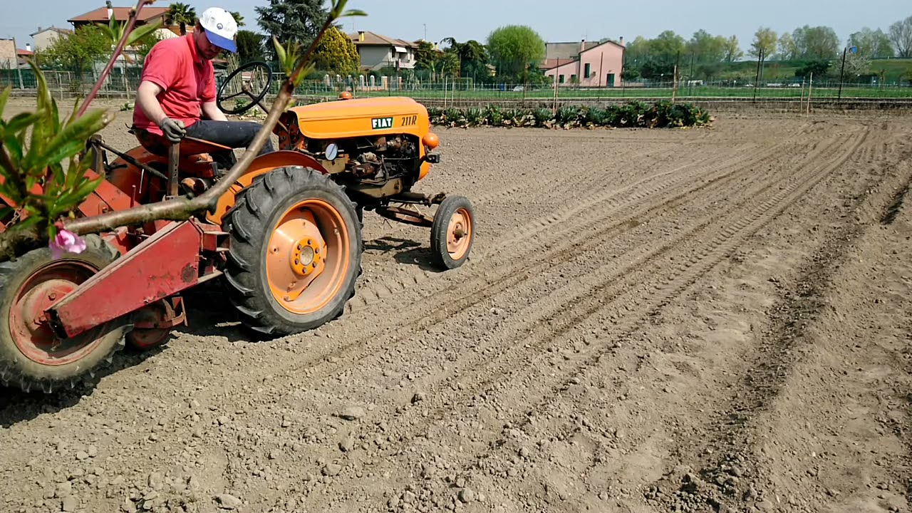 Fiat 211 e seminatrice per fagioli