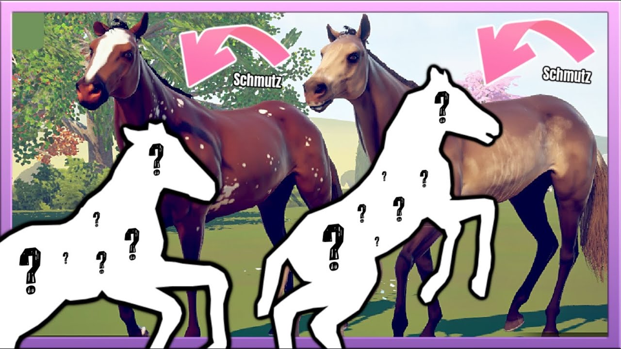 Ihr glaubt mir EH NICHT was wir für FOHLEN gezüchtet haben 😳 Rival Stars Horse Racing #170