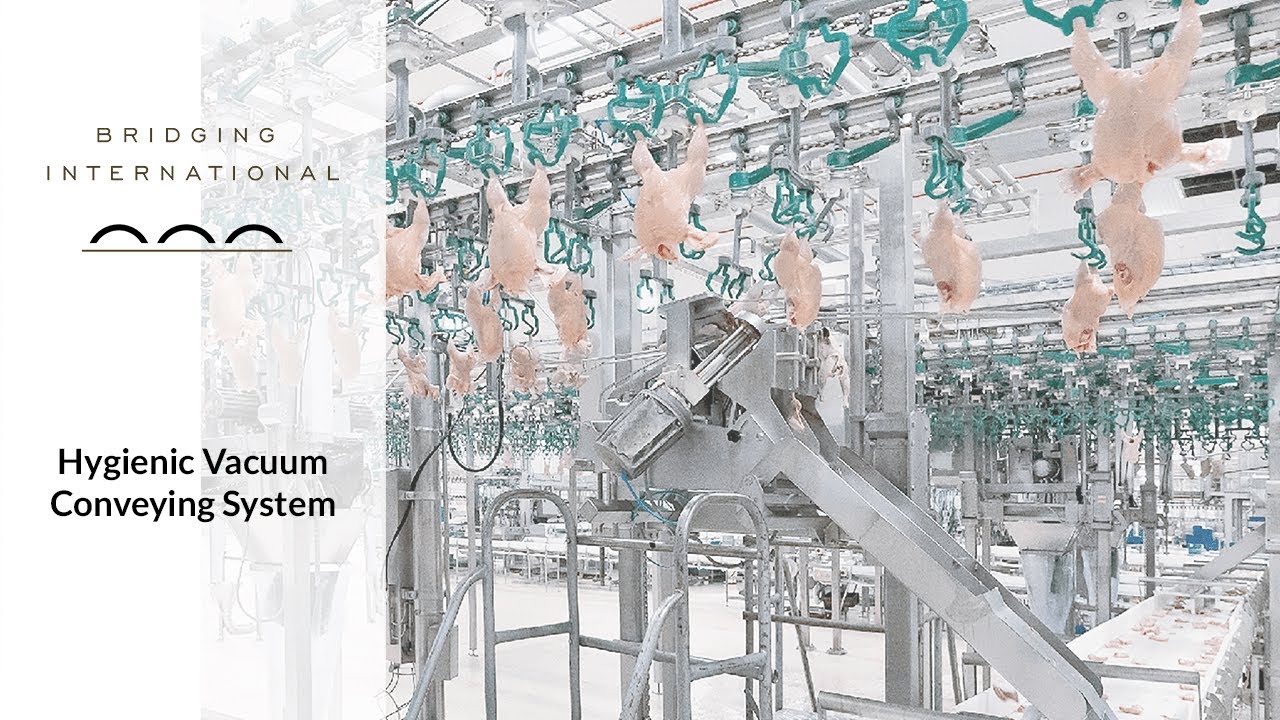 TAIFUN&reg; HYGIENIC VACUUM CONVEYING SYSTEM