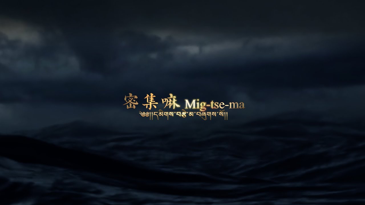 密集嘛 世界合唱大賽版｜Official MV