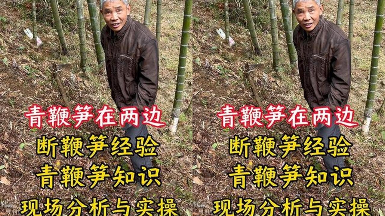 Two small techniques for green bamboo shoots: combining experience and knowledge, on-site analysis