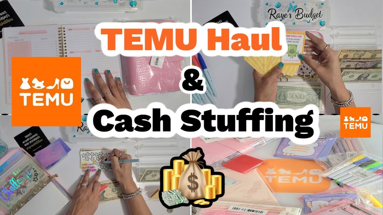 Budget and Planning Items From TEMU | Small TEMU Haul | Sinking Funds and Savings Challenge Stuffing