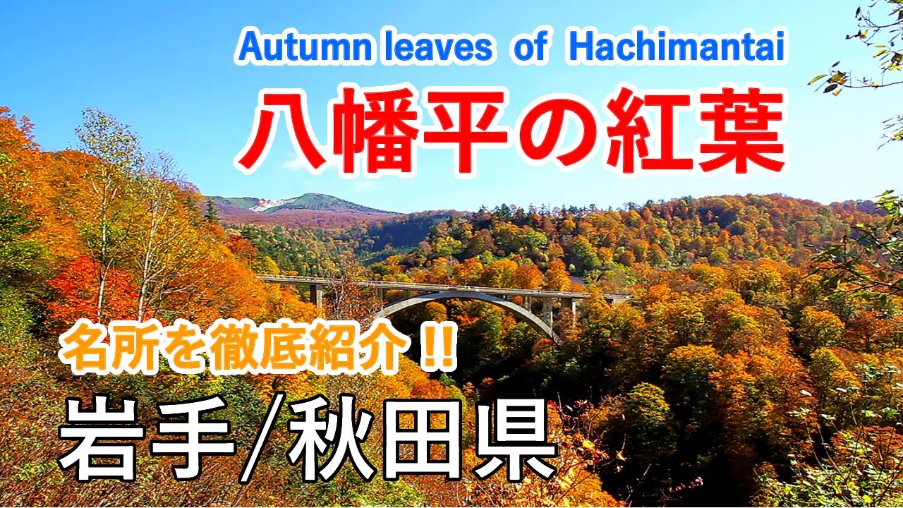 八幡平の紅葉絶景めぐり ( 八幡沼 / 御在所湿原 / 大沼 / 玉川温泉 / 宝仙湖 ） / Autumn leaves of Mt. Hachimantai ( Japan )【日本の紅葉絶景！】