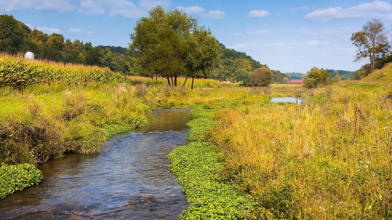 Driftless- September '20