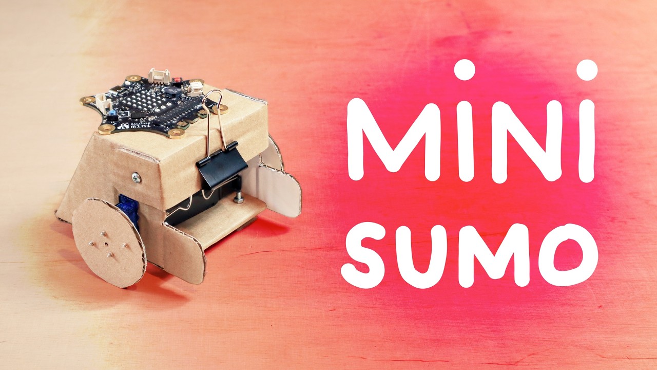 DIY Mini Sumo Robot Using Cardboard | How to Build Robot at School