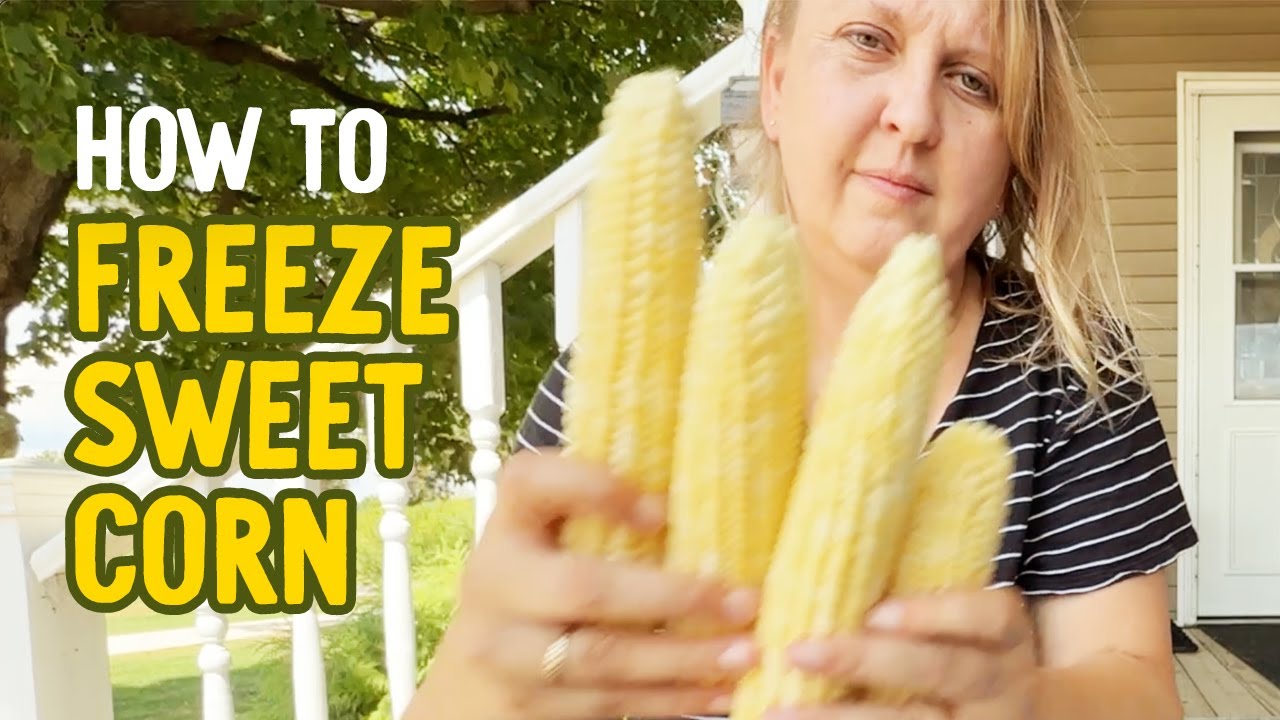 How to Harvest and Freeze Sweet Corn 🌽 | Small Farm Life