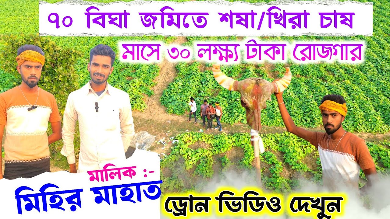 মাসে ৩০ লক্ষ্য টাকা রোজগার ৭০ বিঘা জমিতে খিরা চাষ !! Mihir Mahato Shalboni Badwan 
