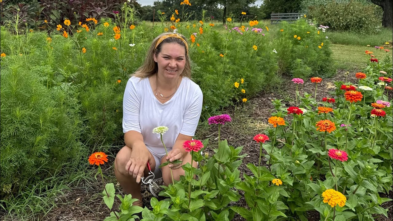Starting a Flower Farm in North Texas | Zone 8a Cut Flower Garden Tour