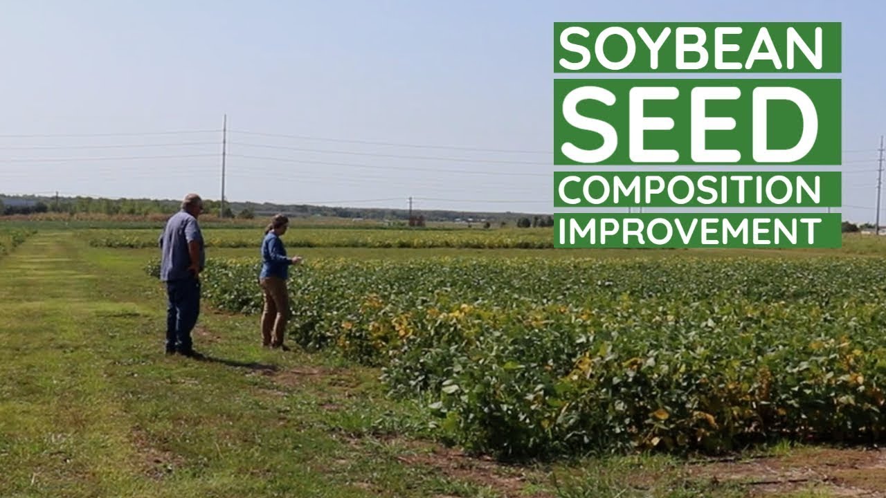 Soybean Research Part One