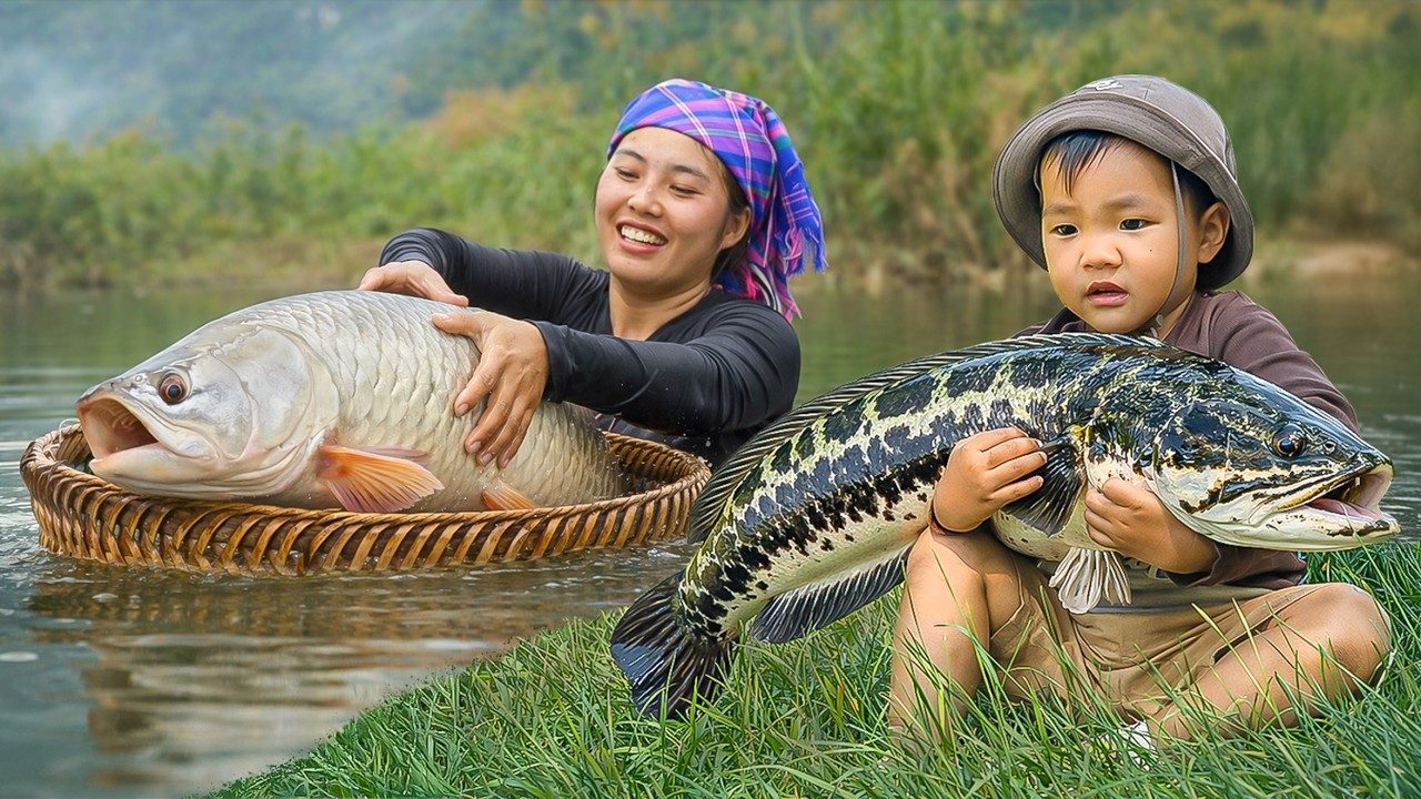 Setting River Traps to Catch Giant Rare Fish | Chuc Duong Family Traditional Fishing | Village Life