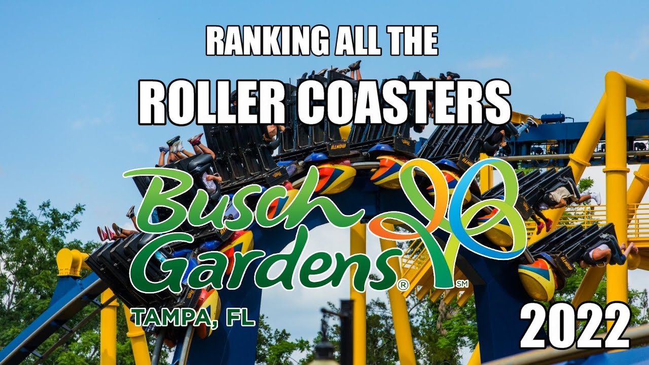 Ranking all the Roller Coasters at Busch Gardens Tampa 2022