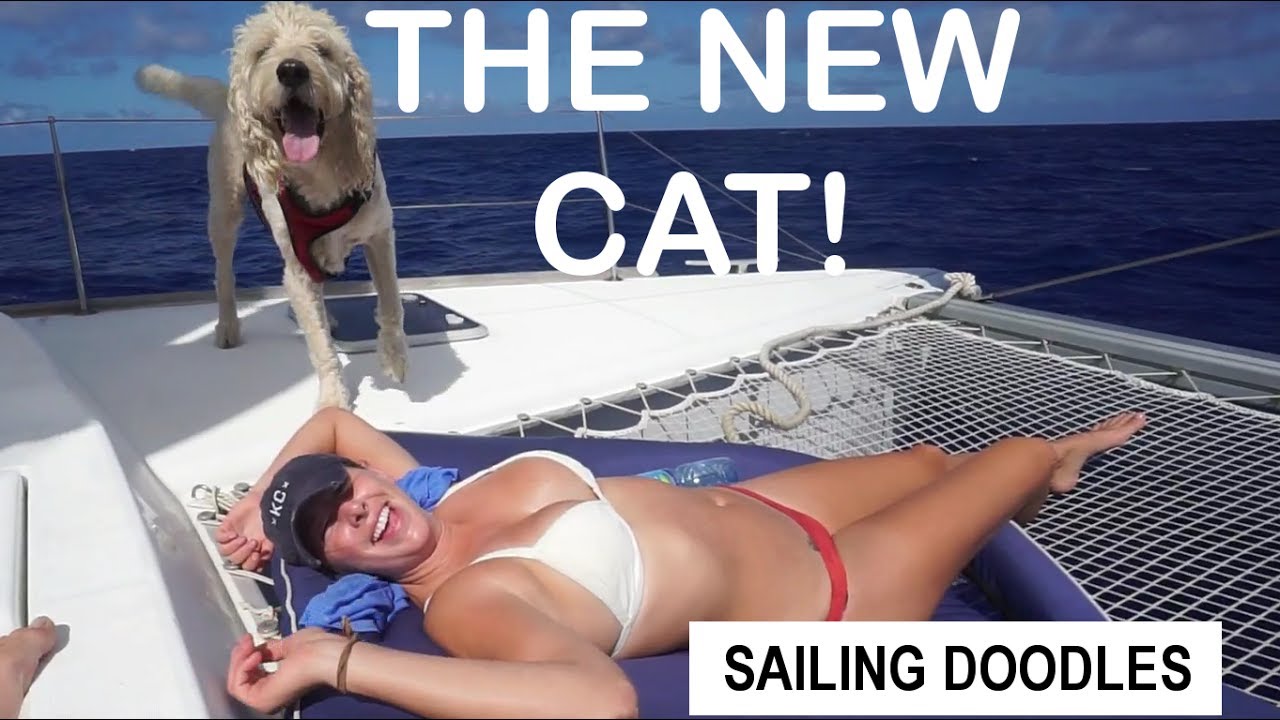 SAILING THE NEW CATAMARAN! - S1:E38