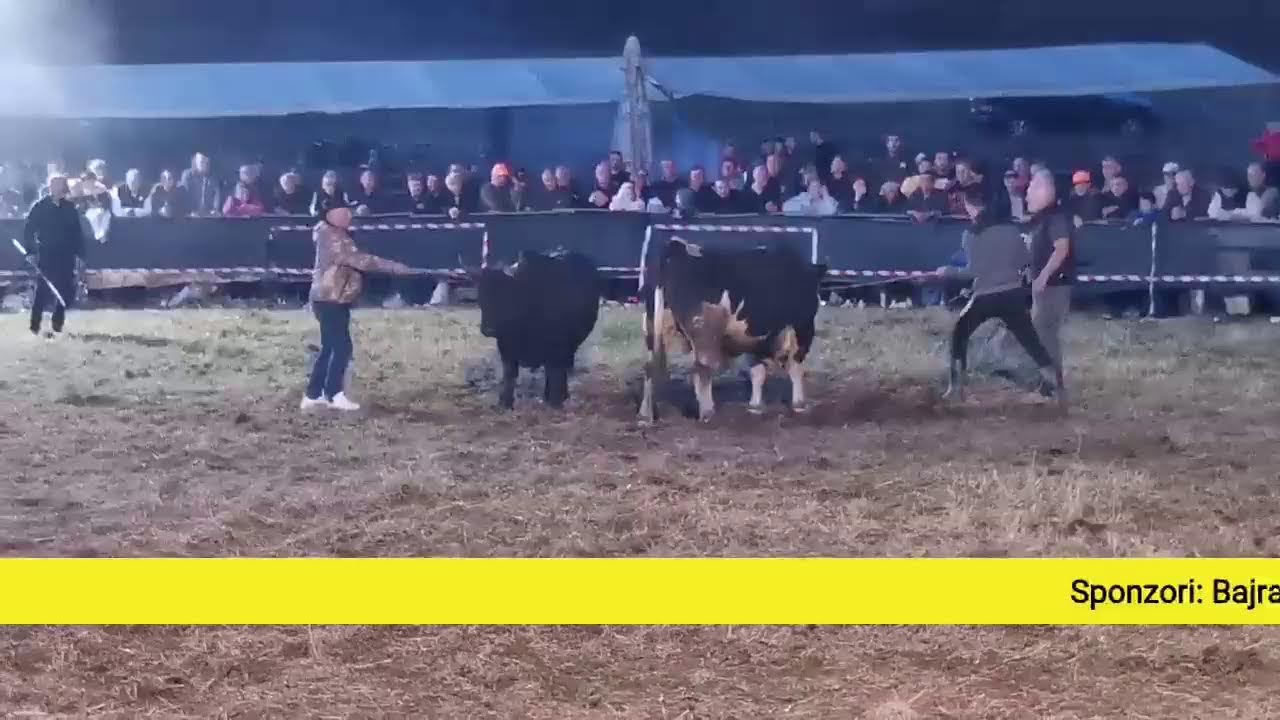 Uživo treći krug Ramići