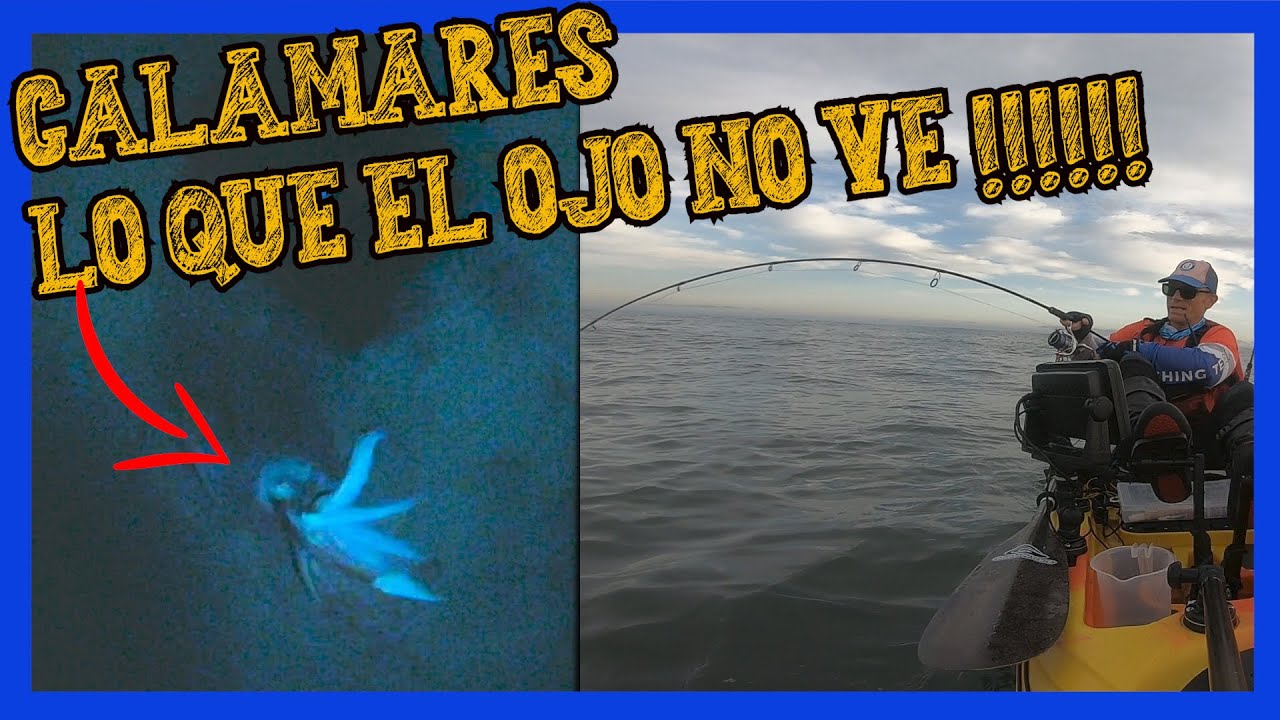 🎯PESCA de CALAMARES| IMÁGENES SUBMARINAS