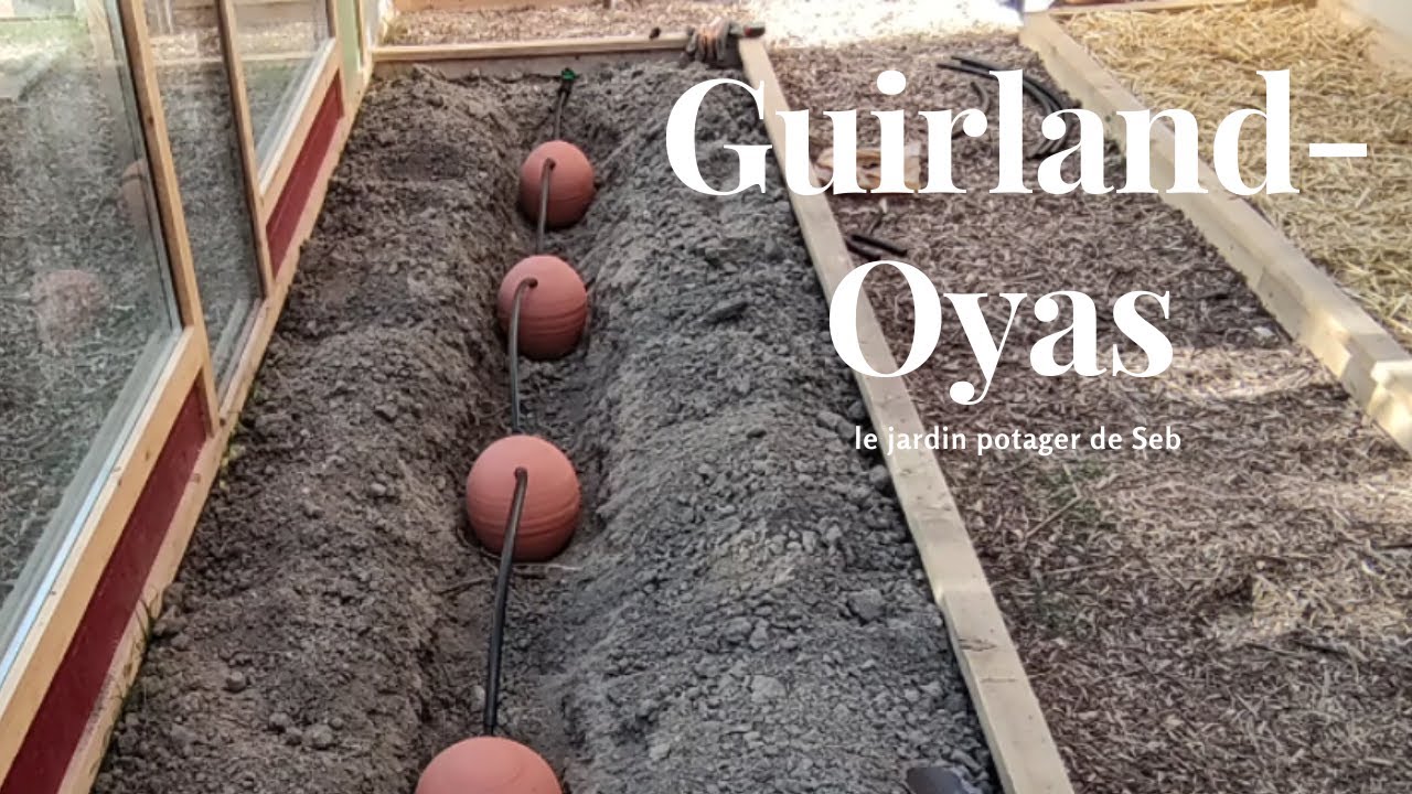 Test des Guirland-Oyas, épisode 1 mise en place.