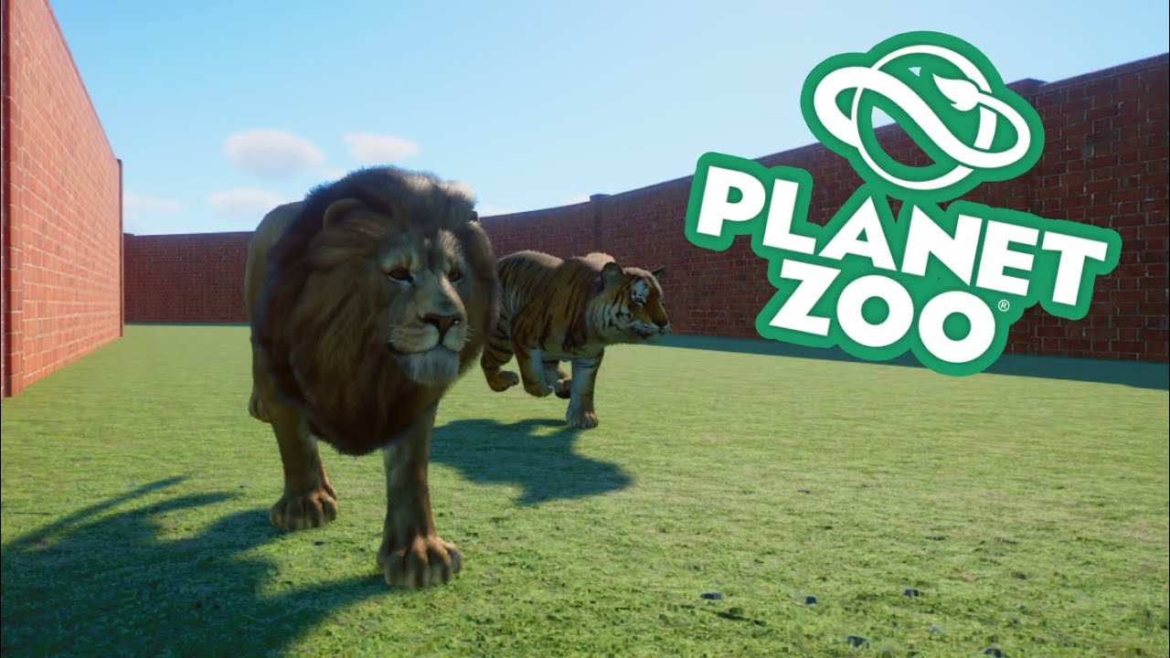 BIG CAT RACING TOURNAMENT: Who is the Fastest of our Four Competitors?