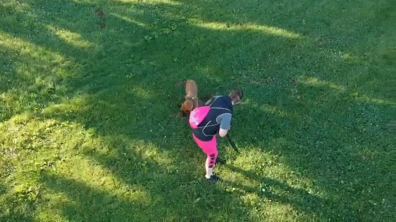 Circles for loose leash walking (Part One)