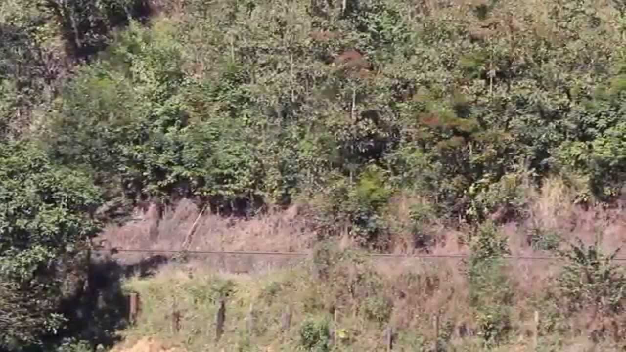 VL!  na Serra do Tigre, MG.