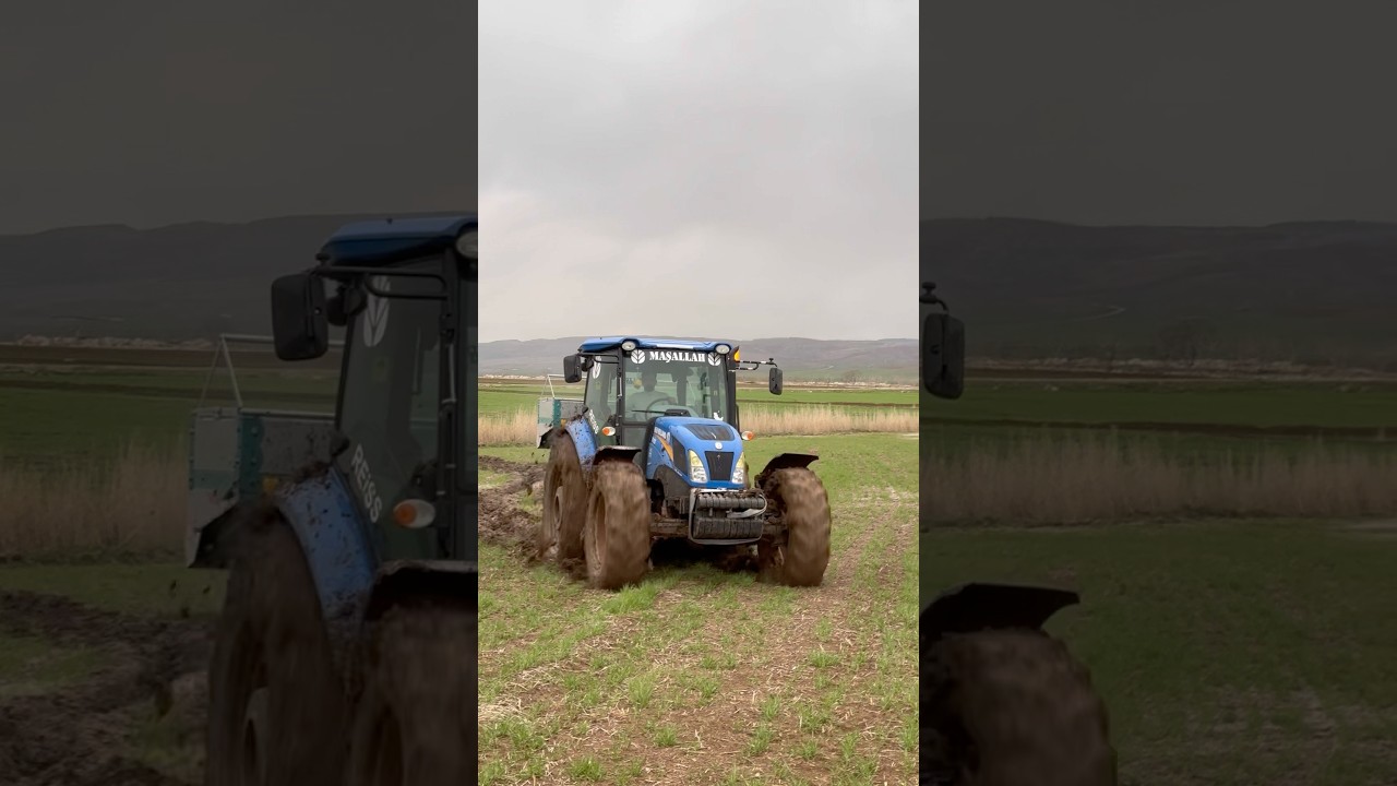 THE TRACTOR CRUSHED THE MUDDY CROP WHILE SPREADING FERTILIZER