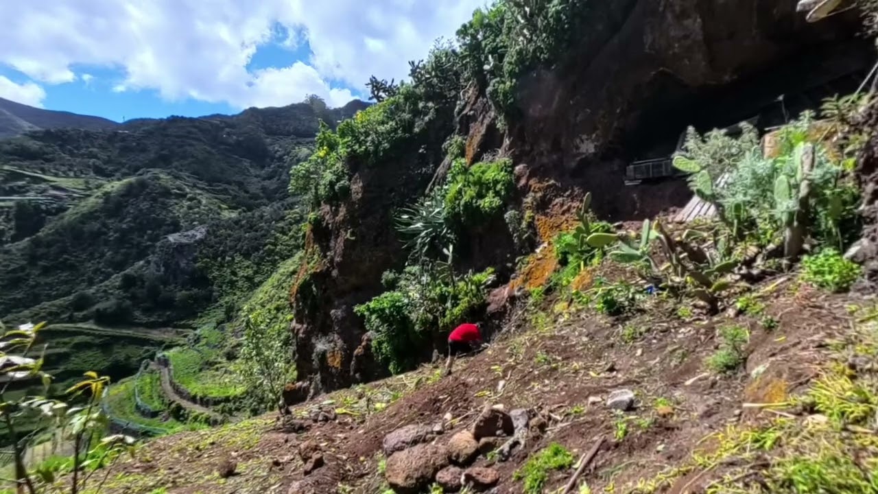 Recuperando un Bancal en Anaga 🌿 | Limpieza para Agricultura en el Batán | Cap9