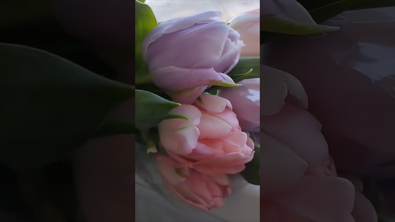 Март 💚🌸☘️ 