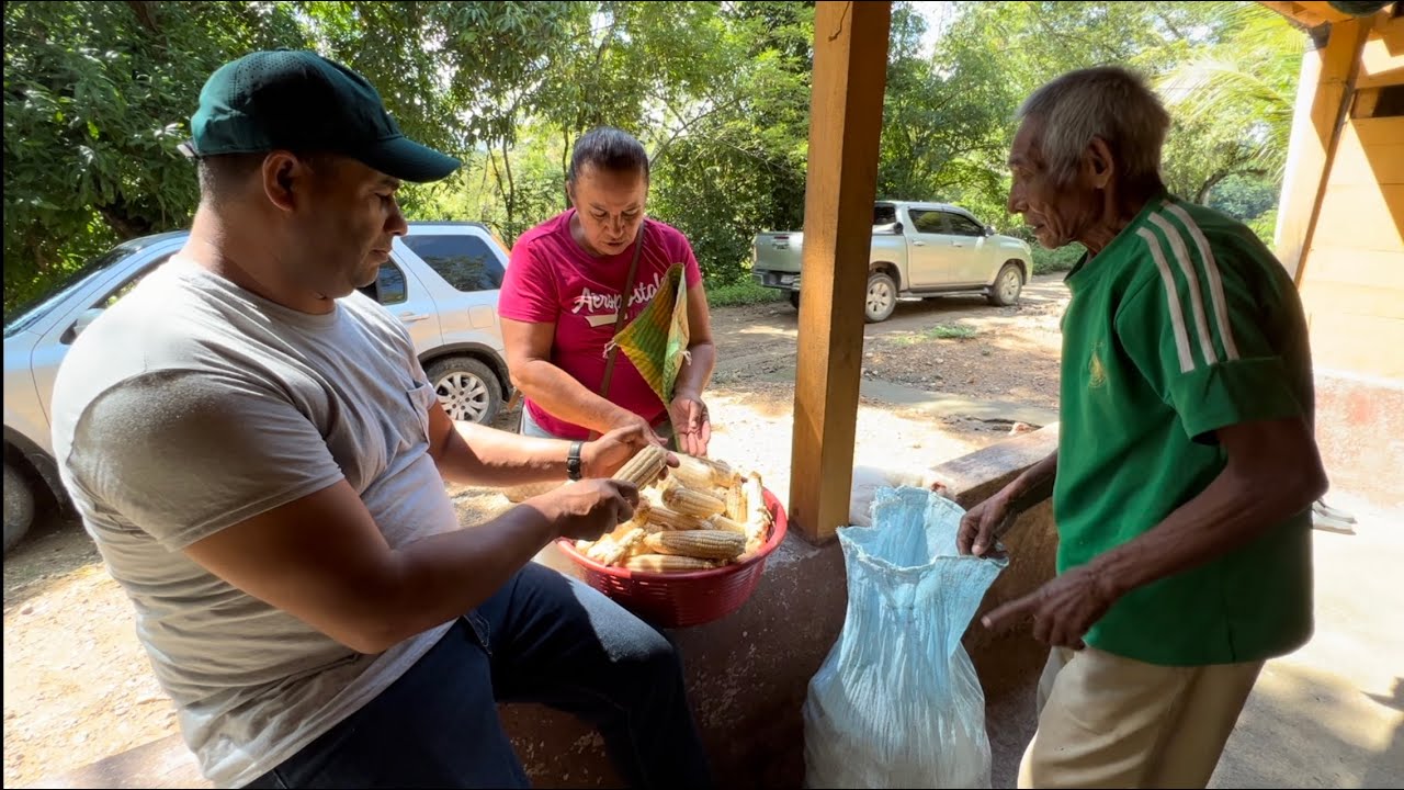 🔴 Don Goyito nos dio trabajo de desgranar maíz 🌽