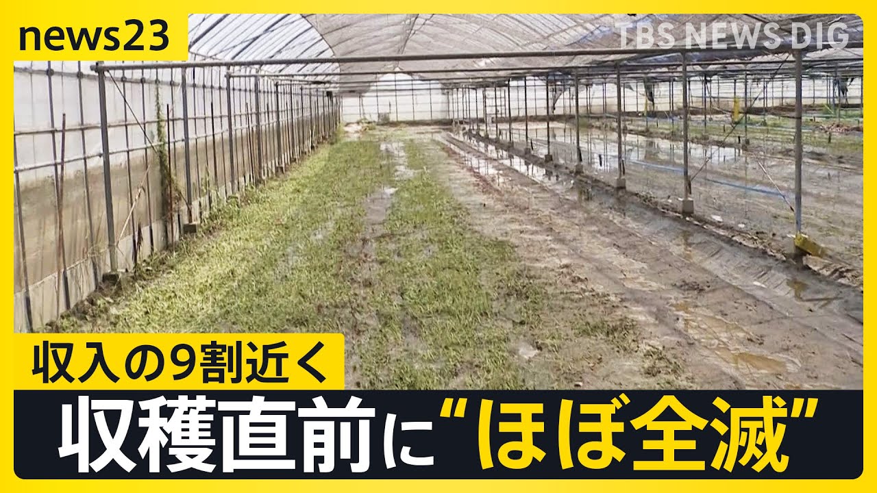 能登を再び襲う大雨「あの時を思い出す」 九州では収穫直前の野菜に深刻被害　収入の9割占める農作物がほぼ全滅【news23】｜TBS NEWS DIG