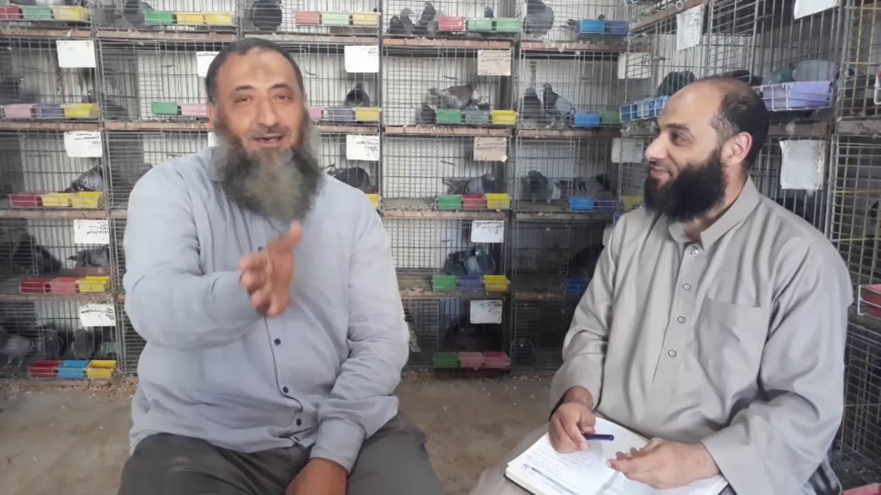 لقاء ابطال لوفت الاصدقاء الجزء الثالث