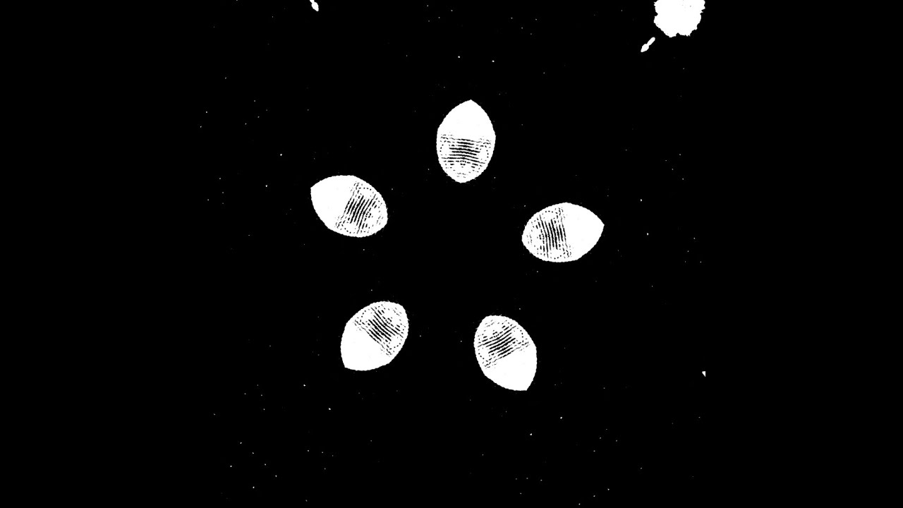 Codly, Viznode & zy - Reborn in death as the cherry blossoms fall.