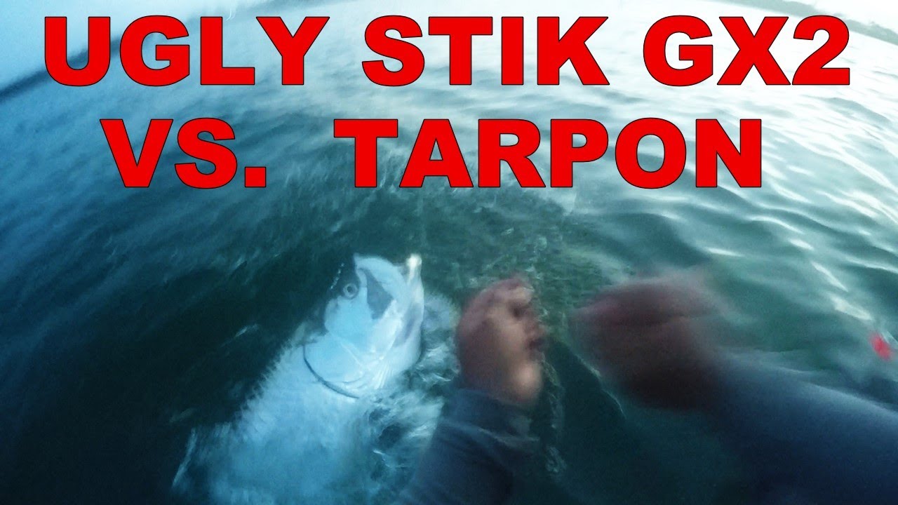 UGLY STIK GX2 Vs. Tarpon