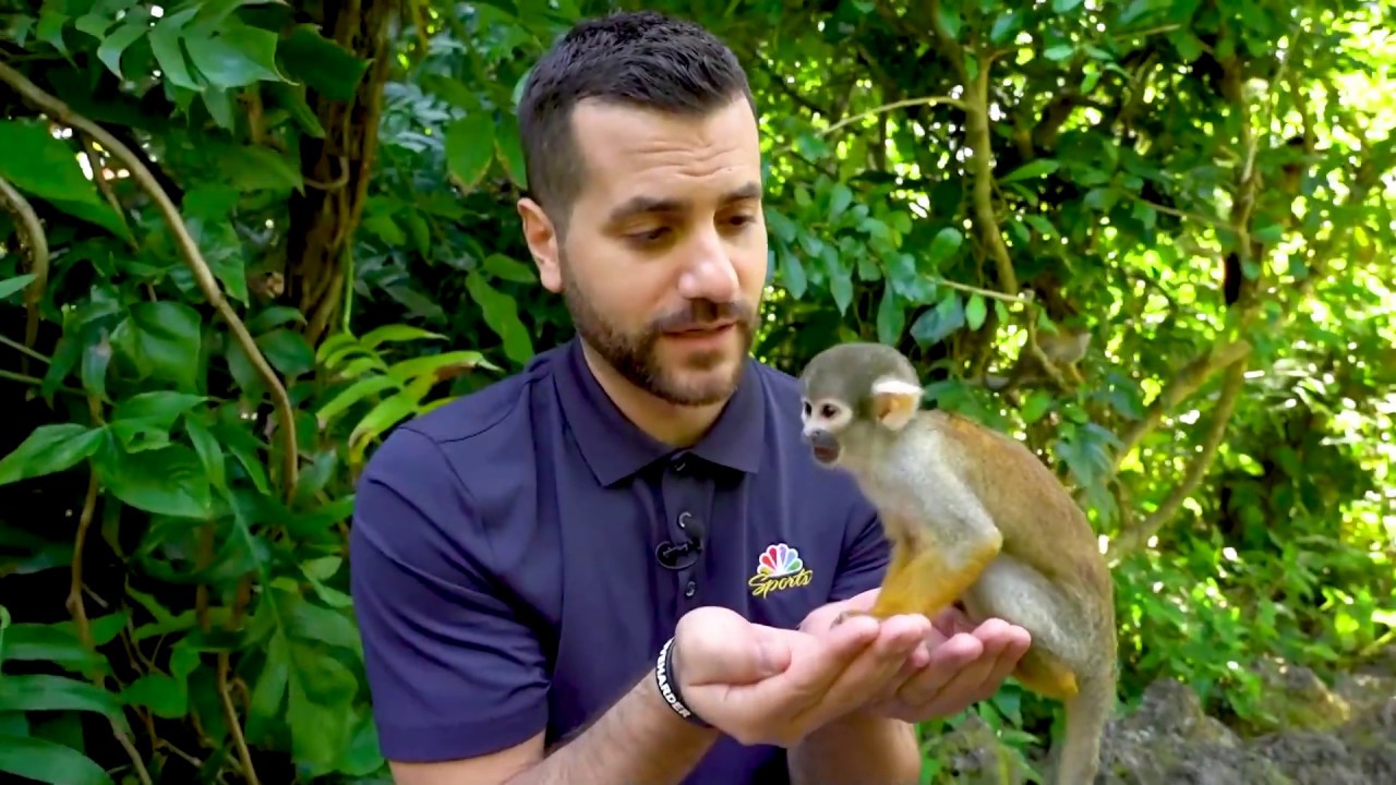 Exploring Monkey Jungle | Miami, Florida