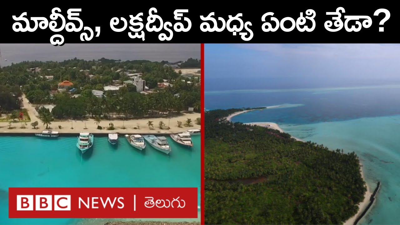 Maldives | Lakshadweep: మాల్దీవులు, లక్షదీవుల మధ్య ఏంటి తేడా, ఏది ఎంత ప్రత్యేకం? | BBC Telugu