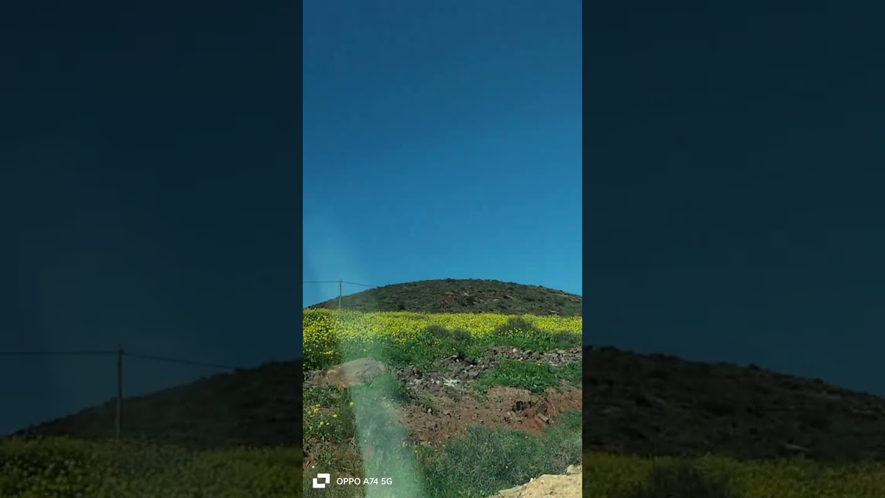 اصبويا جنة خضراء