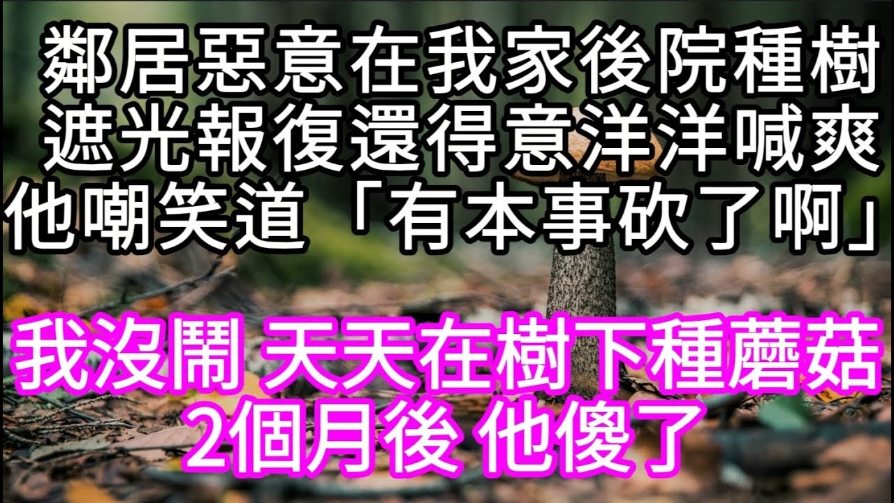 鄰居惡意在我家後院種樹遮光報復還得意洋洋喊爽他嘲笑道「有本事砍了啊」 我沒鬧 天天在樹下種蘑菇2個月後 他傻了 #心書時光 #為人處事 #生活經驗 #情感故事 #唯美频道 #爽文
