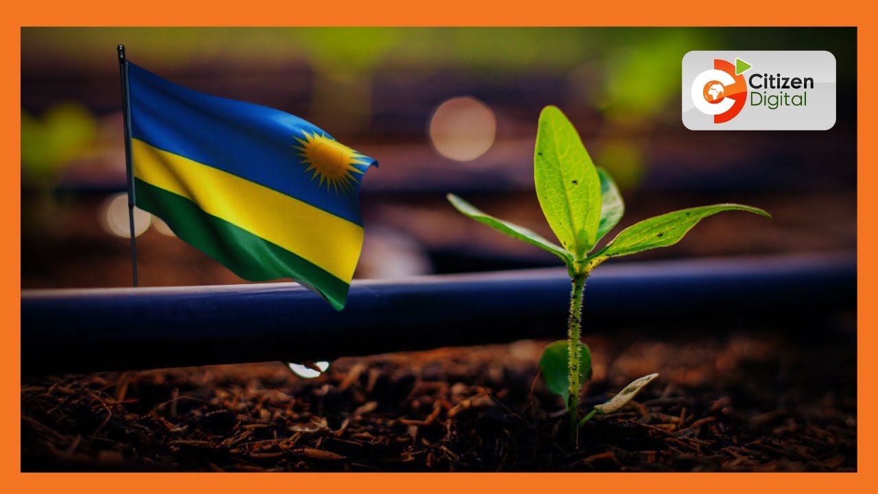 Nasho Solar-Powered Irrigation Project was developed to modernize Rwanda’s agriculture sector