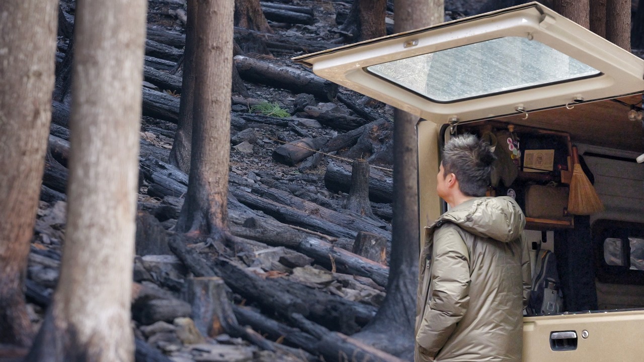 Последствия одного из крупнейших лесных пожаров в Японии (автокемпинг в Офунато, Иватэ)