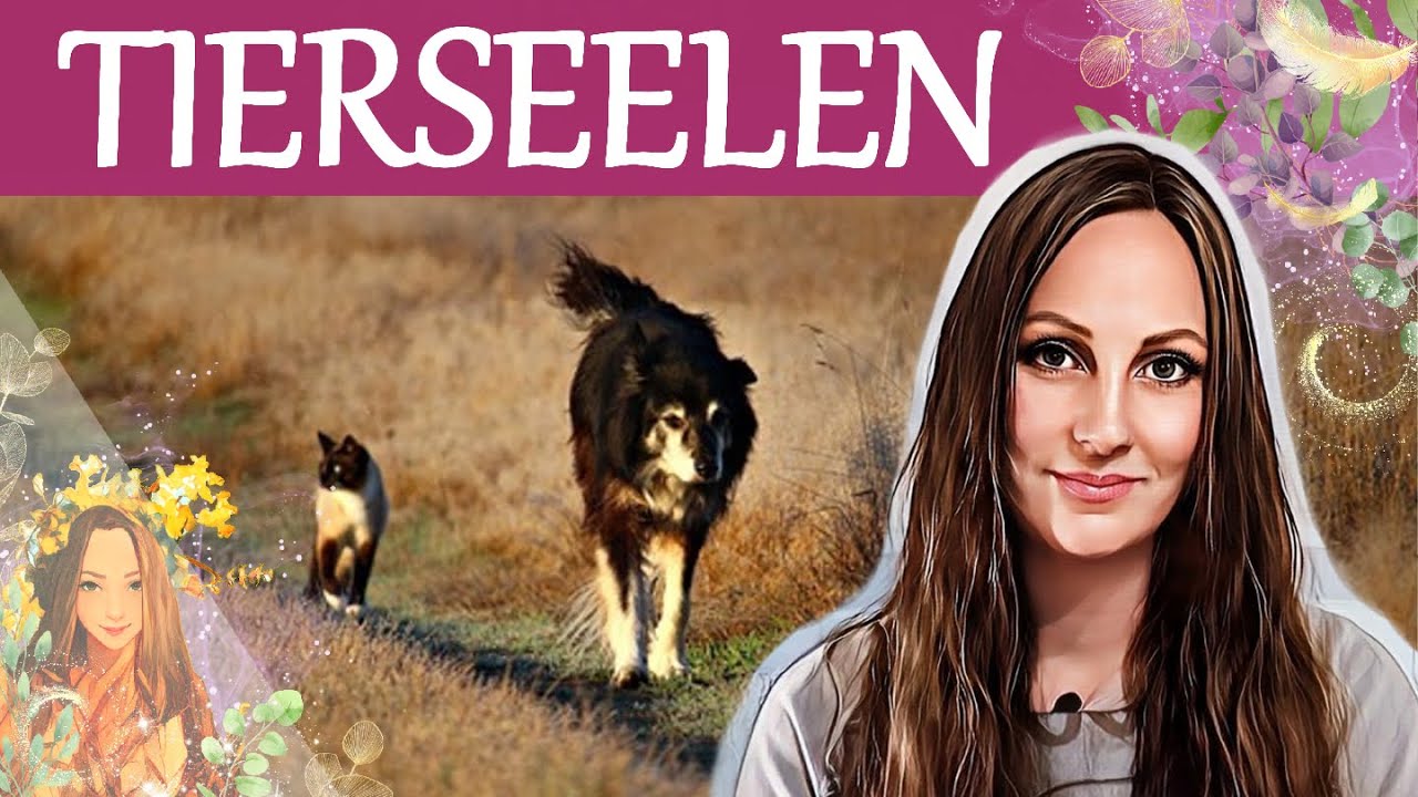 Haben Tiere eine Seele? Ein Einblick in ihre spirituelle Natur! 🐾✨