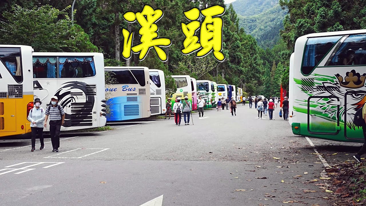 台灣最多人造訪的森林遊樂區  溪頭自然教育園區  超越阿里山國家森林遊樂區，也擊敗對手太平山