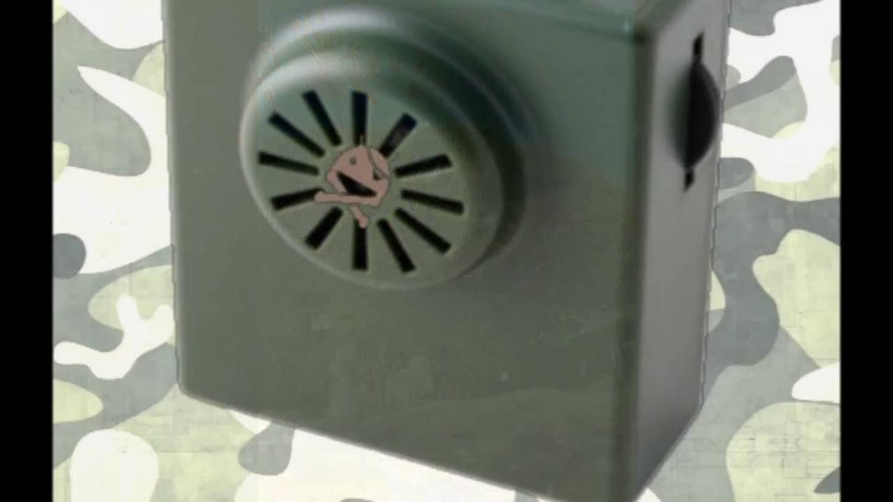 BirdSound - Richiamo uccelli