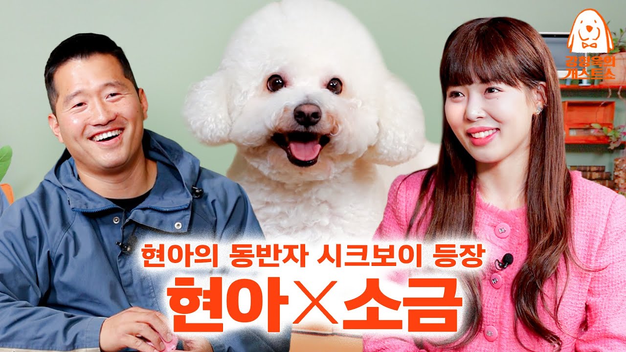 왜 이제 오셨나요. 강형욱이 놓친 안타까운 천재견 등장 [강형욱의개스트쇼] EP.23