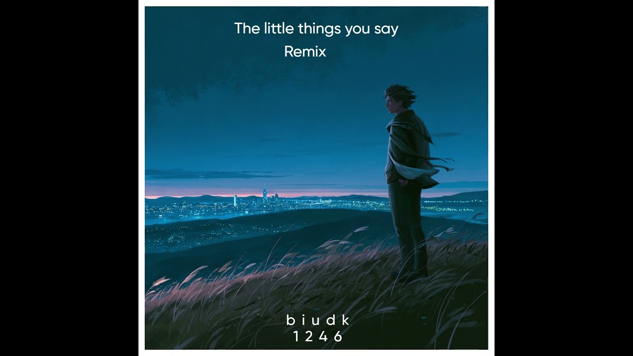 The Little Things You Say- biudk1246(Official Audio)