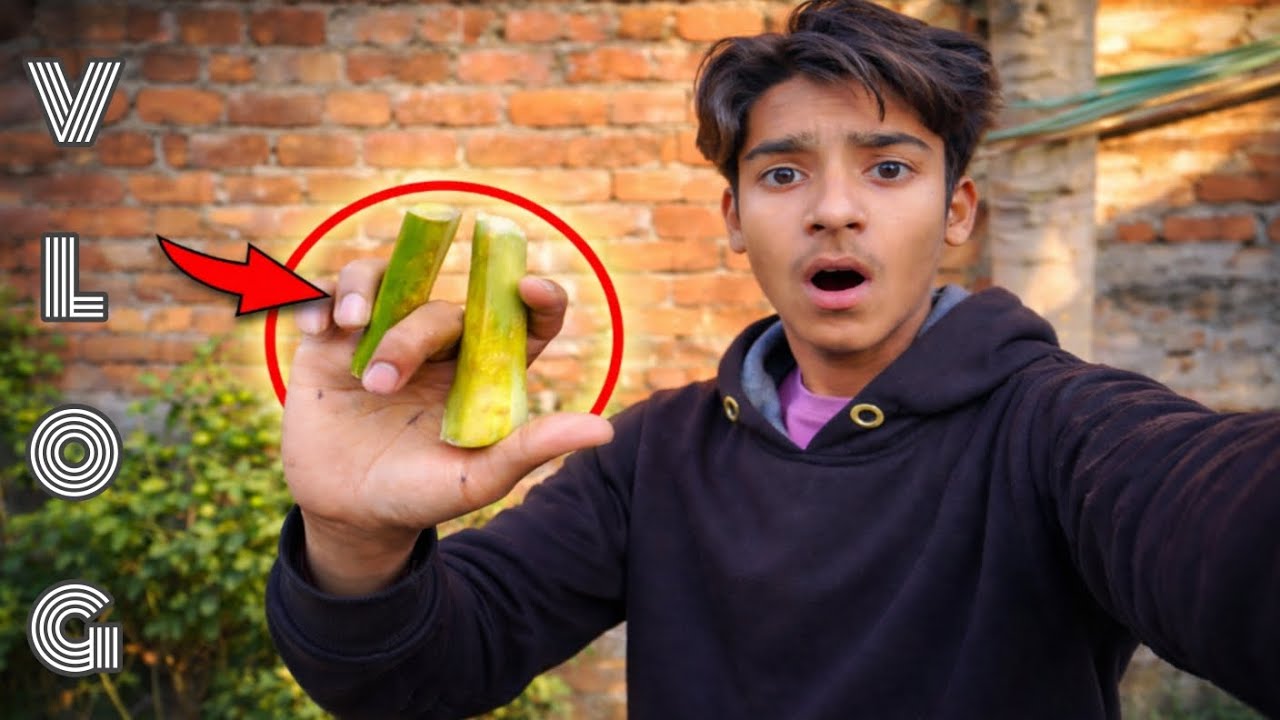 Aaj ye kya bna diya 😱  
