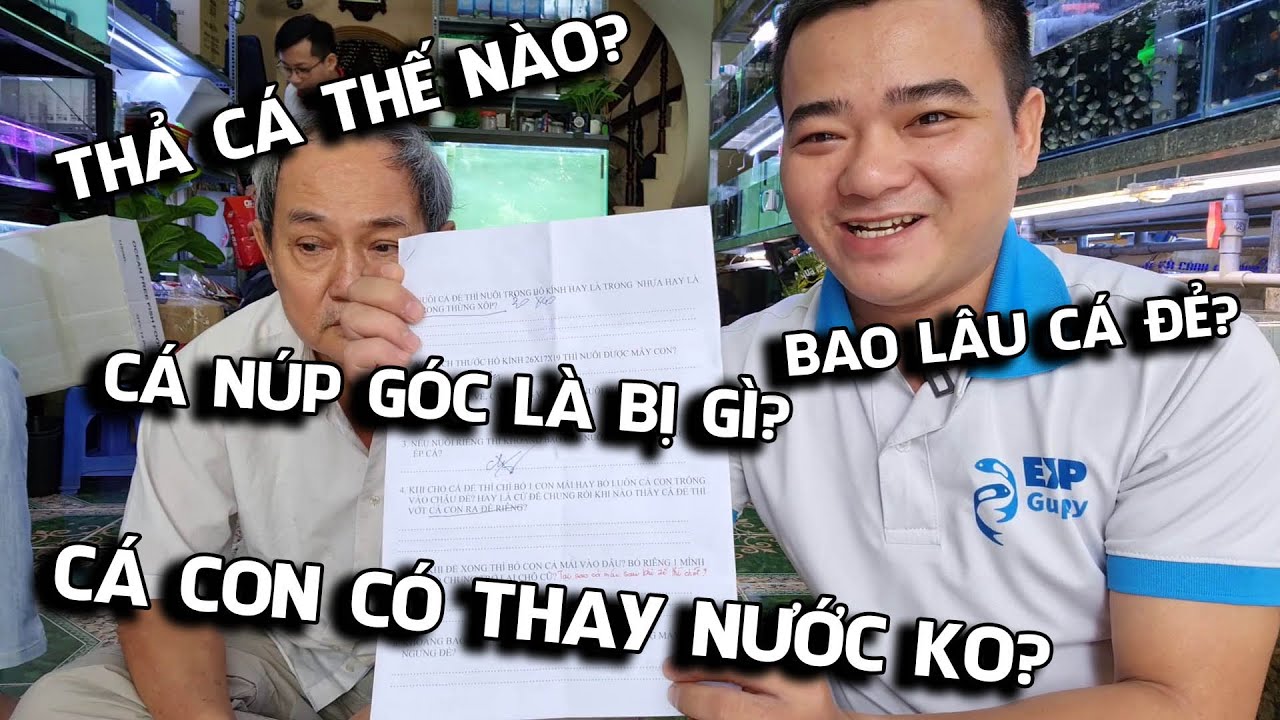 Chú Dũng 68 tuổi và câu chuyện 20 câu hỏi về guppy