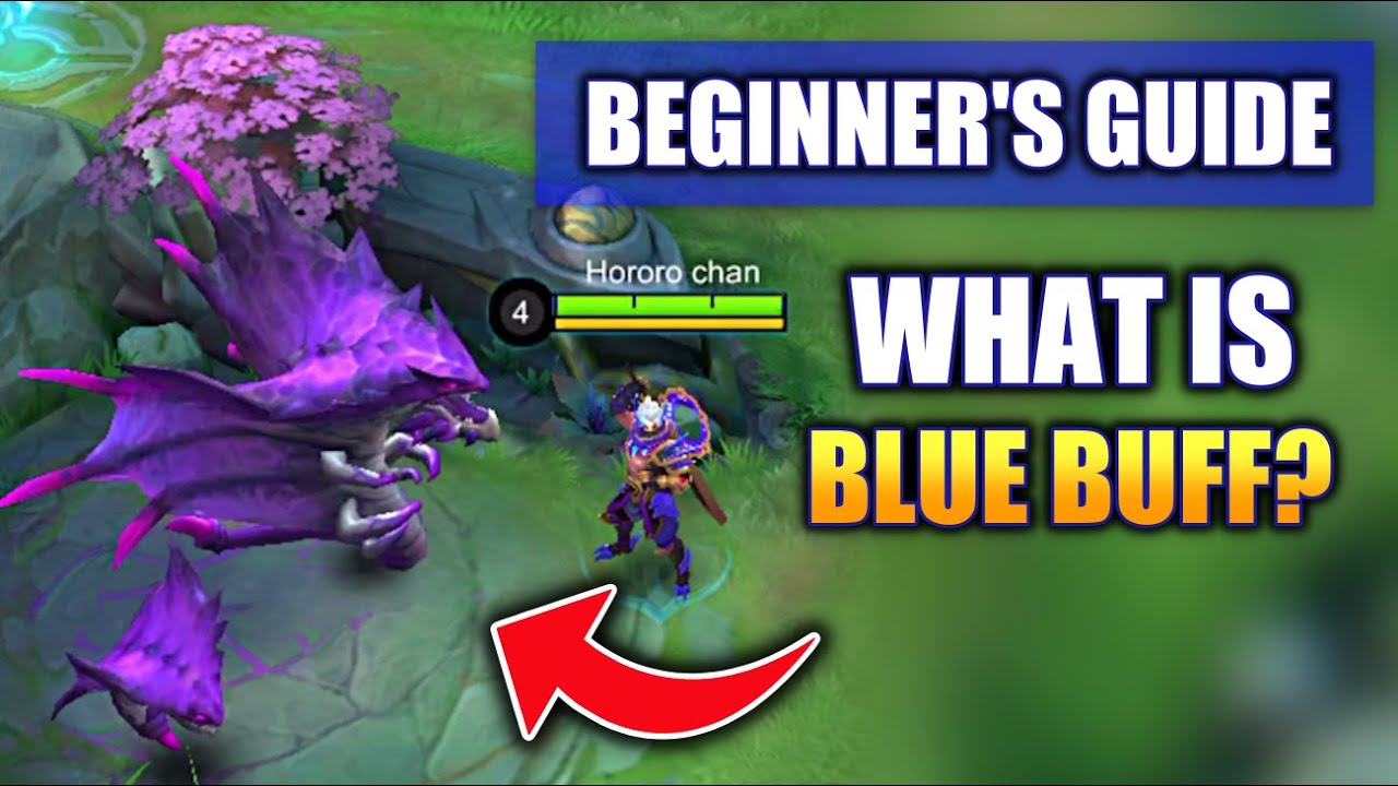 BEGINNER'S GUIDE WHAT IS BLUE BUFF